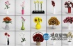 3D模型-25个室内鲜花插花C4D模型合集 Flower arrangement