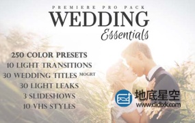 PR模板-333个浪漫婚礼色彩校正调色相册照片文字标题视觉转场特效动画漏光展示预设包 Wedding Essentials Pack for Premiere Pro
