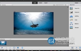Adobe Photoshop Elements 2020 照片编辑软件
