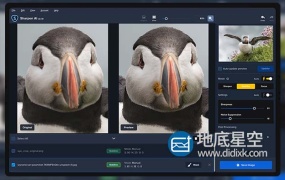 图片锐化清晰处理软件 Topaz Sharpen AI 2.1.7 Win破解版