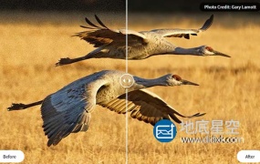 图片降噪去颗粒处理软件 Topaz DeNoise AI 2.3.1 Win破解版