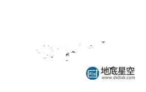 视频素材-鸟飞行视频素材