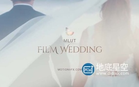 LUTS预设-25种欧美婚礼电影风格LUTS调色预设 mLUT Film Wedding