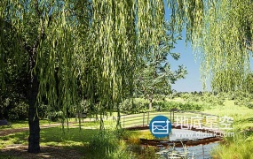 Blender预设-花草树木植物绿化模型 Botaniq Tree And Grass Library V6.7.0