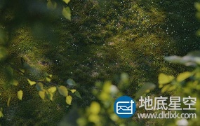 C4D插件-植物生成插件预设 Laubwerk SurfaceSPREAD v2.0.4 Win破解版