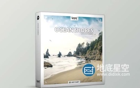 音效素材-202组自然环境海岸线海鸥海浪吹风虫鸣鸟叫环绕立体声音效 Ocean Shores