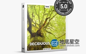 音效素材-192组森林环境虫鸣鸟叫大自然音效 Deciduous Forests