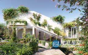 3D模型-藤蔓爬山虎植物模型 Globe Plants – Bundle 23 Vines and Creepers 03