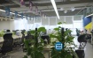 视频素材-实拍互联网企业办公室会议室内部4k视频素材