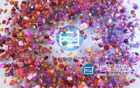 AE模板-唯美的标志LOGO花瓣展示片头动画