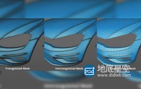 C4D插件-四边形布线优化插件 C4D Plugin Quadrangler v1.20.0