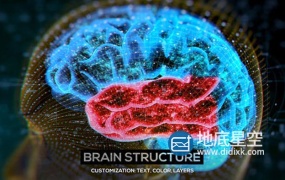 AE模板-大脑结构介绍HUD解剖学生物学医学演示教育科学机构人脑神经元