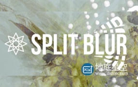 AE/PR插件-中文汉化版万花筒分割模糊迷幻视觉特效 Split Blur v1.1.1 Win/Mac