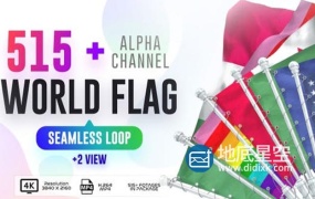 视频素材-515组各个国家旗帜国旗飘动视频素材 Seamless Loop Of World Flags Footages Pack + Alpha