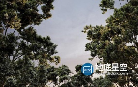 3D模型-植物树木模型