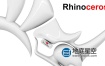 犀牛注册机破解版 Rhinoceros 7.10.21256 Win/Mac 中文版/英文版