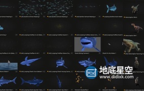 视频素材-恐龙鲨鱼鸟类蛇动物