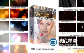 视频素材-婚礼唯美花瓣粒子光晕光效美化叠加素材