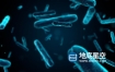 视频素材-细菌细胞病毒视频