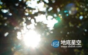 视频素材-实拍清晨傍晚阳光穿透树林视频
