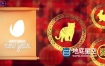 AE模板+PR预设-2022中国农历春节虎年生肖红灯笼LOGO片头 Chinese New Year Logo Reveal