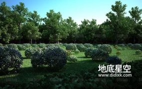 C4D插件-植物生成插件预设 Laubwerk SurfaceSPREAD v2.0.7
