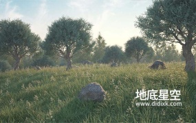 C4D插件-植物树木草地石头生成制作插件 3DQUAKERS – Forester v1.5.2+ Expansion Pack v1+V2 预设包