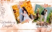 AE模板-水彩优雅手绘花卉水墨感婚礼邀请函结婚照片相册视频