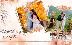 AE模板-水彩优雅手绘花卉水墨感婚礼邀请函结婚照片相册视频