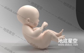 3D模型-婴儿baby胎儿幼儿小孩C4D模型