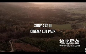 LUTS预设-12个索尼Sony A7S III / A7III for HLG 和 S-Log预设