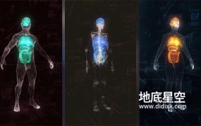 AE模板-HUD科技感人体男性身材女性身材大脑心脏肝肺肠9个医疗场景动画