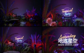 AE模板-热带雨林海洋棕榈树旅行片头动画