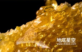 素材视频-实拍蜂蜜流淌在蜂窝上