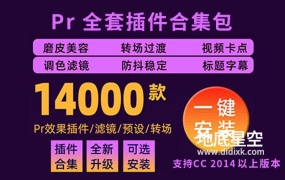 PR插件-全套插件合集PR插件一键安装包Win汉化版