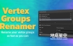 Blender插件-顶点组批量重命名插件 Vertex Groups Renamer – Vgr