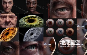 3D模型+贴图-三维真实眼睛瞳孔眼球模型+贴图