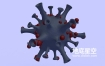 3D模型-新型冠状病毒模型