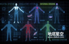 AE模板-200+科技感人体生物学医疗解刨学骨骼人体循环系统UI界面HUD元素动画