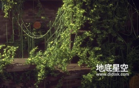Blender插件-三维藤蔓植物模拟生成器 Vine Generator