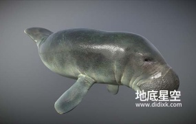 3D模型-海牛模型