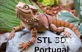 3D模型-可爱灵活的变色龙3D打印模型