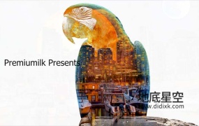 AE模板-图像双重曝光特效动画