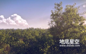 Blender插件-树木植物生成插件 Tree Generator V2