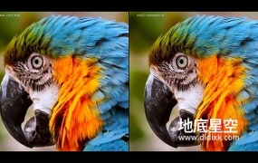 视频无损放大画质修复软件 Topaz Video AI V3.0.11 Win