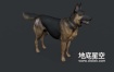 3D模型-阿尔萨斯狼狗德国牧羊犬德国黑背