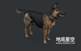 3D模型-阿尔萨斯狼狗德国牧羊犬德国黑背