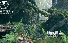 3D模型-原始森林苔藓树枝枯树石头蕨类植物草木C4D模型