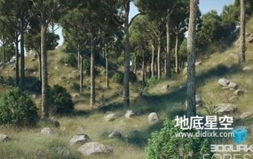 C4D插件 花草树木森林植物生成器 Forester v1.5.4 Win+Expansion Pack V1+2预设包