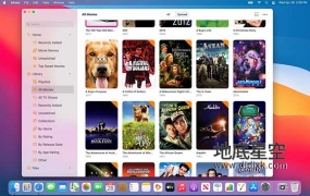 视频播放器 Infuse PRO7.5.6 Mac版